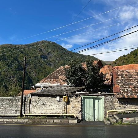 Guesthouse Ilisu 가흐 외부 사진