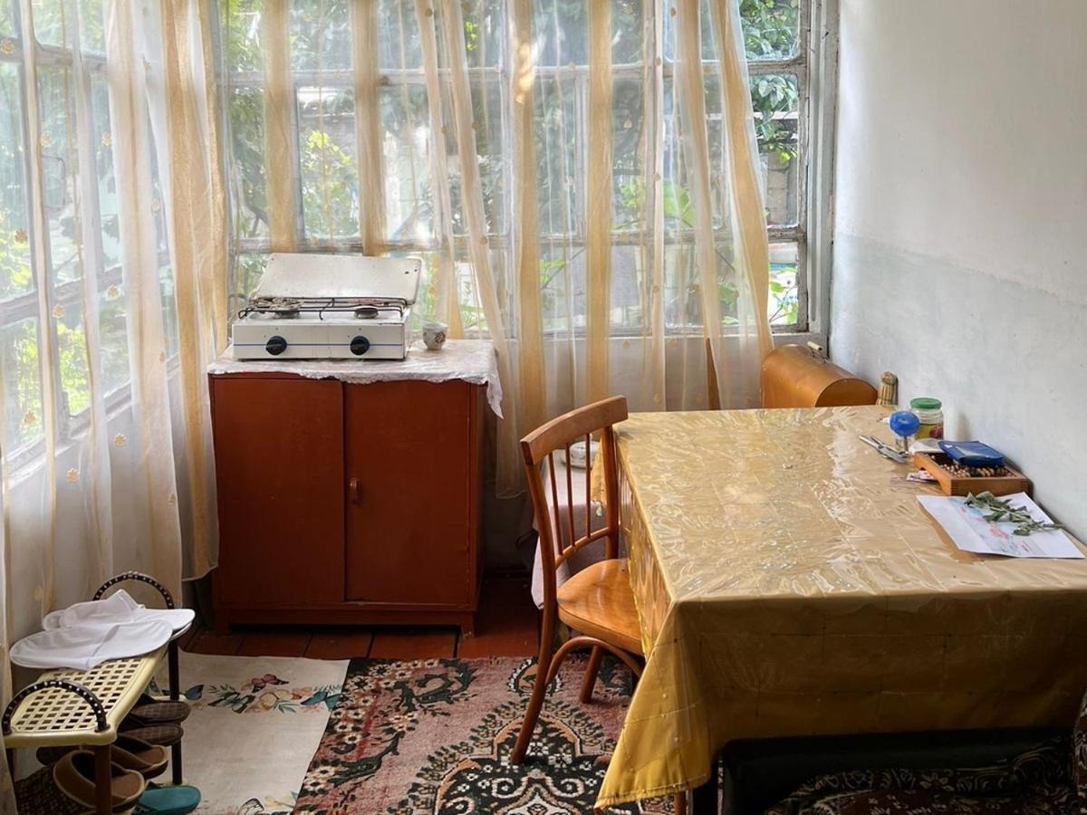 Guesthouse Ilisu 가흐 외부 사진