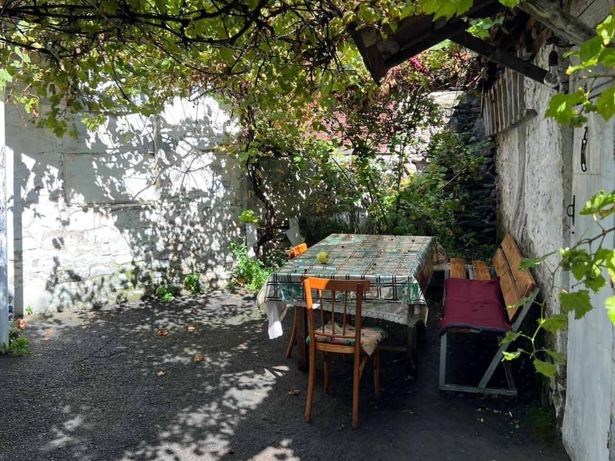 Guesthouse Ilisu 가흐 외부 사진