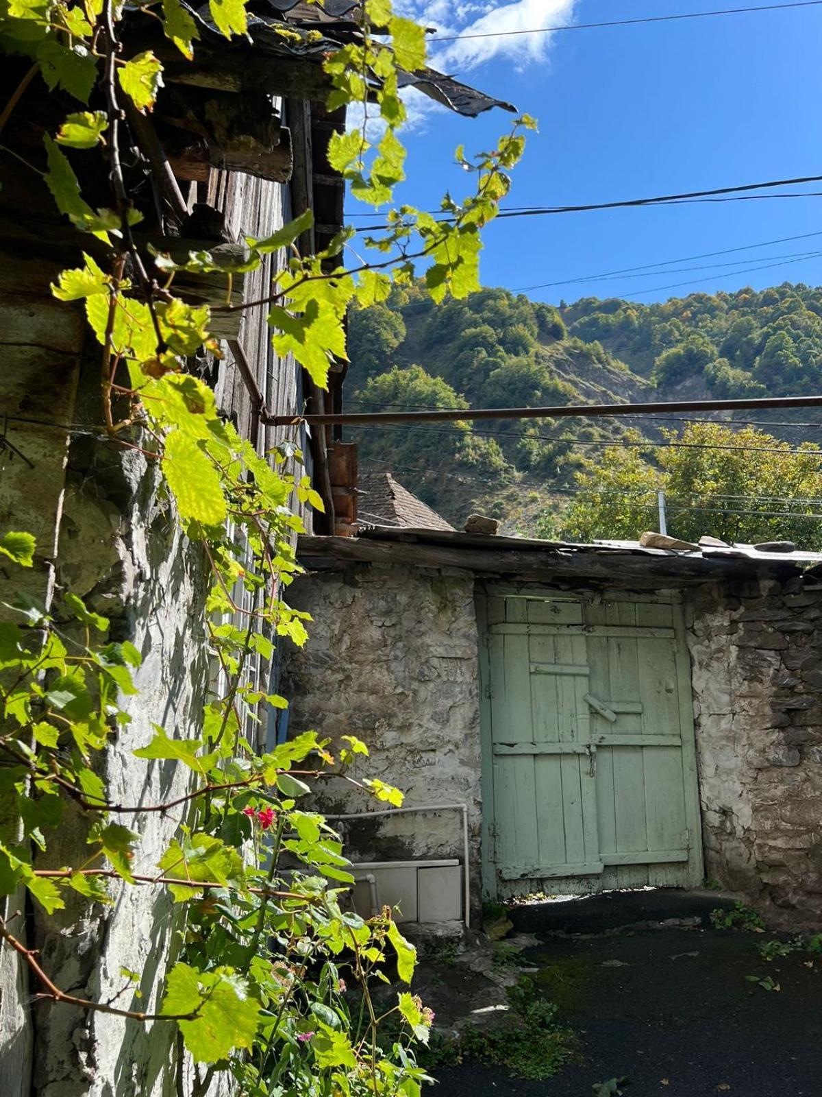 Guesthouse Ilisu 가흐 외부 사진